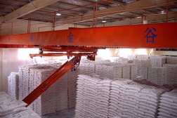 Bag stacking conveyor bridge type