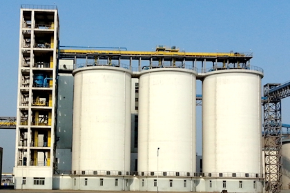 Bucket elevator